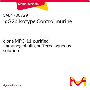 IgG2b Isotype Control murine clone MPC-11, purified immunoglobulin, buffered aqueous solution