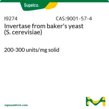 Invertase from baker’s yeast (S.&#160;cerevisiae) 200-300&#160;units/mg solid