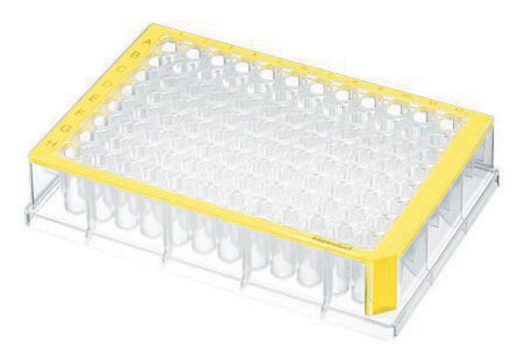 Eppendorf&#174; Deepwell Plate 96/500&#956;L sterile, volume 500&#160;&#956;L, yellow border with clear wells, pkg of 40&#160;plates (5 bags x 8 plates)