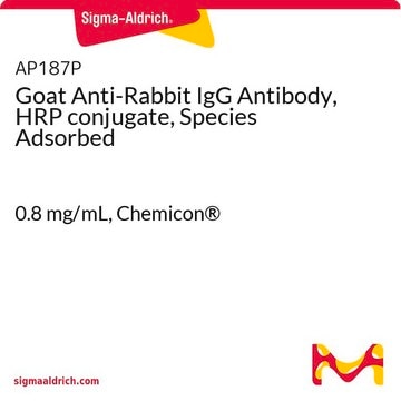 Goat Anti-Rabbit IgG Antibody, HRP conjugate, Species Adsorbed 0.8&#160;mg/mL, Chemicon&#174;