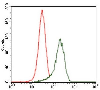 Anti-SHH Antibody, clone 5H4 clone 5H4, from mouse