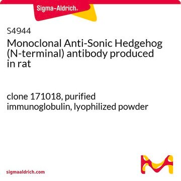 Monoclonal Anti-Sonic Hedgehog (N-terminal) antibody produced in rat clone 171018, purified immunoglobulin, lyophilized powder