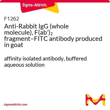 Anti-Rabbit IgG (whole molecule), F(ab&#8242;)2 fragment–FITC antibody produced in goat affinity isolated antibody, buffered aqueous solution