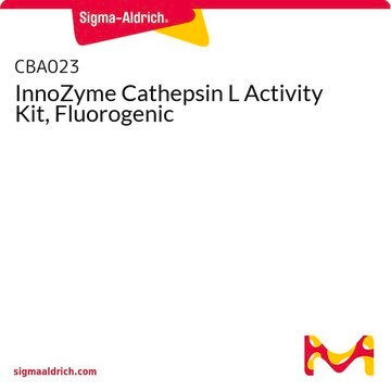 InnoZyme Cathepsin L Activity Kit, Fluorogenic