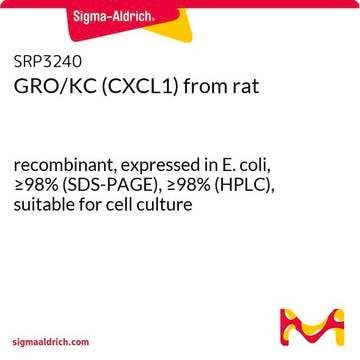 GRO/KC (CXCL1) from rat recombinant, expressed in E. coli, &#8805;98% (SDS-PAGE), &#8805;98% (HPLC), suitable for cell culture