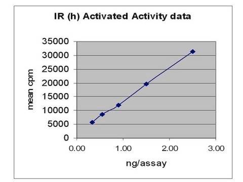 Insulin Receptor, activated, 10 &#181;g Autoactivated on column by incubating with Mg/ATP, excess ATP &amp; MgAc removed by multiple column wash steps.