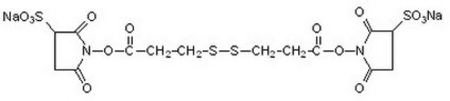 DSP, Water-Soluble