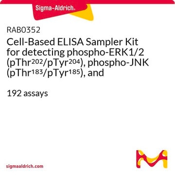 Cell-Based ELISA Sampler Kit for detecting phospho-ERK1/2 (pThr202/pTyr204), phospho-JNK (pThr183/pTyr185), and phospho-p38 MAPK (pThr180/pTyr182) in cultured cell lines 192&#160;assays