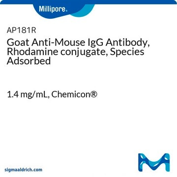 Goat Anti-Mouse IgG Antibody, Rhodamine conjugate, Species Adsorbed 1.4&#160;mg/mL, Chemicon&#174;