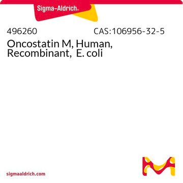 Oncostatin M, Human, Recombinant, E. coli