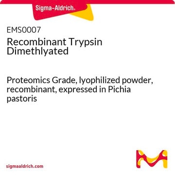 Recombinant Trypsin Dimethlyated Proteomics Grade, lyophilized powder, recombinant, expressed in Pichia pastoris