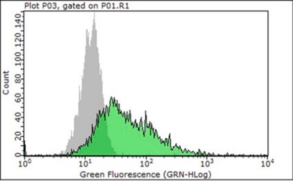 Anti-Integrin &#946;1 Antibody, clone P5D2 (Azide Free)| MAB1959 clone P5D2, Chemicon&#174;, from mouse