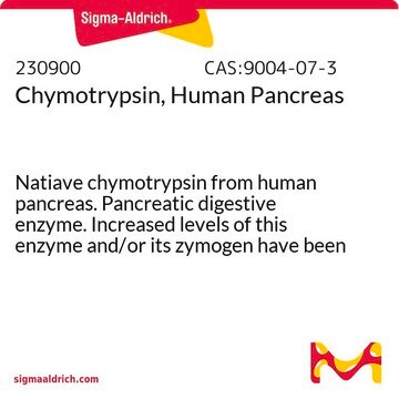 Chymotrypsin, Human Pancreas Natiave chymotrypsin from human pancreas. Pancreatic digestive enzyme. Increased levels of this enzyme and/or its zymogen have been found in serum of individuals with cystic fibrosis.