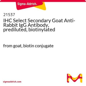 IHC Select Secondary Goat Anti-Rabbit IgG Antibody, prediluted, biotinylated from goat, biotin conjugate