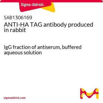 ANTI-HA TAG antibody produced in rabbit IgG fraction of antiserum, buffered aqueous solution