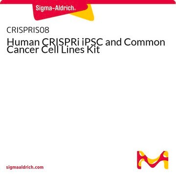 Human CRISPRi iPSC and Common Cancer Cell Lines Kit