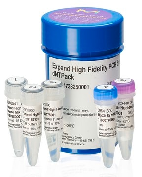 Expand&#8482; High Fidelity PCR System, dNTPack suitable for PCR, High Fidelity PCR, hotstart: no, dNTPs included