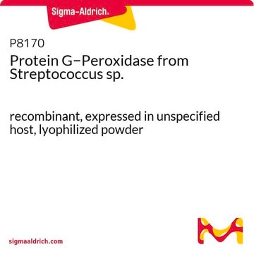 Protein G&#8722;Peroxidase from Streptococcus sp. recombinant, expressed in unspecified host, lyophilized powder