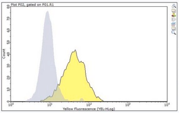 Anti-FcRH5 Antibody, clone F56 clone F56, from mouse