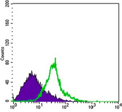 Anti-WNT1 Antibody, clone 10C8 ascites fluid, clone 10C8, from mouse