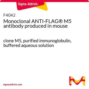 Monoclonal ANTI-FLAG&#174; M5 antibody produced in mouse clone M5, purified immunoglobulin, buffered aqueous solution