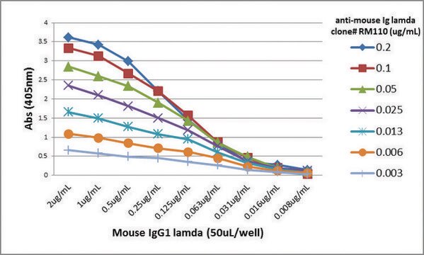 Anti-Mouse Ig Lamda Light Chain-Biotin antibody, Rabbit monoclonal recombinant, expressed in HEK 293 cells, clone RM110, purified immunoglobulin