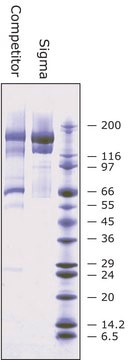 &#945;2-Macroglobulin from human plasma BioUltra, &#8805;98% (SDS-PAGE)