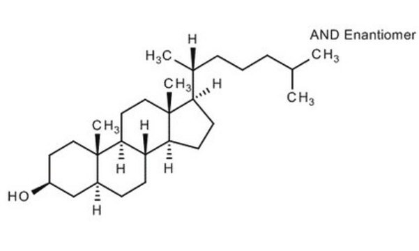 5&#945;-Cholestan-3&#223;-ol for synthesis