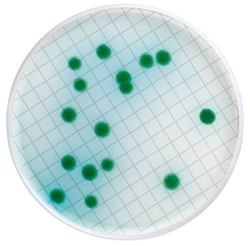 Milliflex&#174; Pre-filled Media Cassettes Cetrimide Agar, Naladixic Acid, for Pseudomonas aeruginosa, pack of 48&#160;tests, suitable for bioburden testing