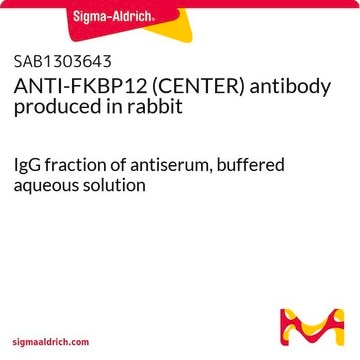 ANTI-FKBP12 (CENTER) antibody produced in rabbit IgG fraction of antiserum, buffered aqueous solution