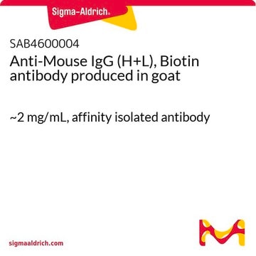 Anti-Mouse IgG (H+L), Biotin antibody produced in goat ~2&#160;mg/mL, affinity isolated antibody