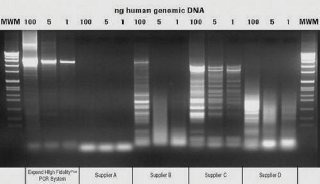 Expand&#8482; High FidelityPLUS PCR System, dNTPack sufficient for &#8804;125&#160;reactions (04743725001), sufficient for &#8804;500&#160;reactions (04743733001), suitable for PCR, dNTPs included