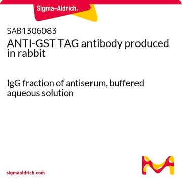 ANTI-GST TAG antibody produced in rabbit IgG fraction of antiserum, buffered aqueous solution