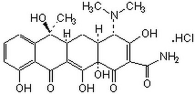 Tetracycline, Hydrochloride CAS 64-17-5 is a broad-based antibiotic agent that blocks protein synthesis by inhibiting binding of aminoacyl tRNA to the A-site of ribosomes. Induces cold shock-response and enhances P450 expression in bacteria.