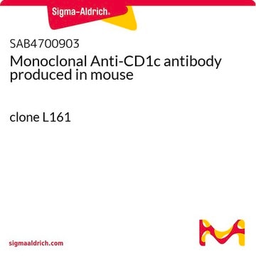 Monoclonal Anti-CD1c antibody produced in mouse clone L161