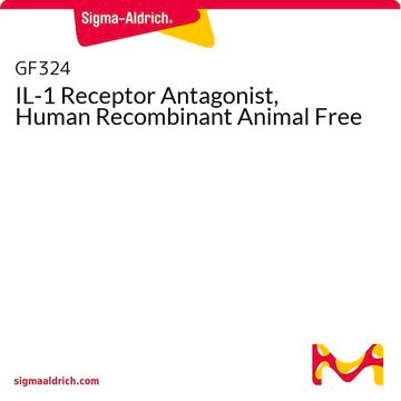 IL-1 Receptor Antagonist, Human Recombinant Animal Free