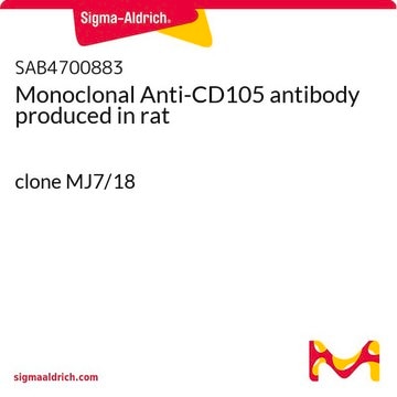 Monoclonal Anti-CD105 antibody produced in rat clone MJ7/18