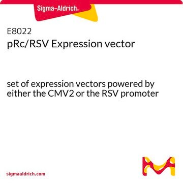 pRc/RSV Expression vector set of expression vectors powered by either the CMV2 or the RSV promoter