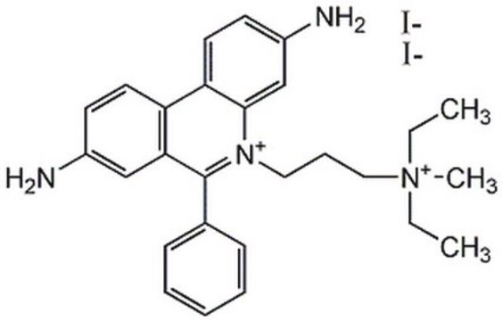 Propidium Iodide Membrane impermeable DNA intercalator.