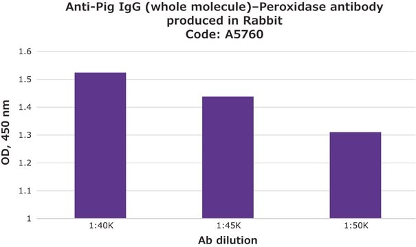 Anti-Pig IgG (whole molecule)&#8722;Peroxidase antibody produced in rabbit affinity isolated antibody, buffered aqueous solution