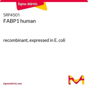 FABP1 human recombinant, expressed in E. coli