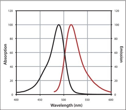 Monoclonal Anti-6X His IgG, CF&#8482; 488A antibody produced in mouse ~2&#160;mg/mL, clone 33D10.D2.G8, purified immunoglobulin