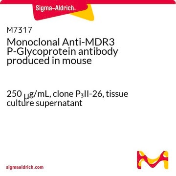 Monoclonal Anti-MDR3 P-Glycoprotein antibody produced in mouse 250&#160;&#956;g/mL, clone P3II-26, tissue culture supernatant