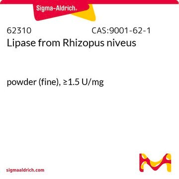 Lipase from Rhizopus niveus powder (fine), &#8805;1.5&#160;U/mg