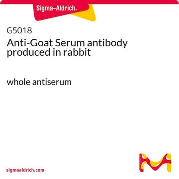 Anti-Goat Serum antibody produced in rabbit whole antiserum