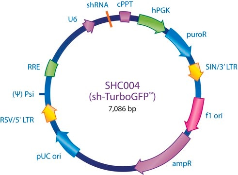 MISSION&#174; pLKO.1-puro TurboGFP&#8482; shRNA Control Transduction Particles, High Titer High Titer, shRNA sequence targeting tGFP