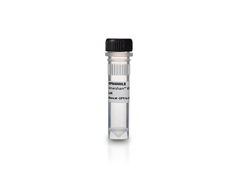 Amersham&#8482; QuickStain Protein Labeling Kit