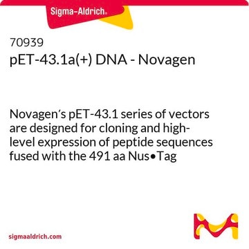 pET-43.1a(+) DNA - Novagen Novagen&#8242;s pET-43.1 series of vectors are designed for cloning and high-level expression of peptide sequences fused with the 491 aa Nus&#8226;Tag protein.