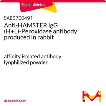 Anti-HAMSTER IgG (H+L)-Peroxidase antibody produced in rabbit affinity isolated antibody, lyophilized powder