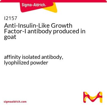 Anti-Insulin-Like Growth Factor-I antibody produced in goat affinity isolated antibody, lyophilized powder